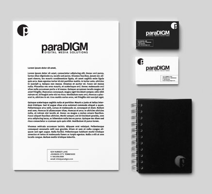 paraDIGM DMS Marketing Materials
